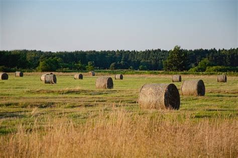 Hay Farming Business Plan